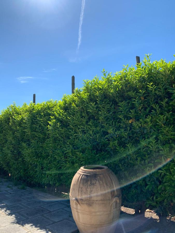 Bed and Breakfast La Casa Del Sole Vico Equense Exterior foto