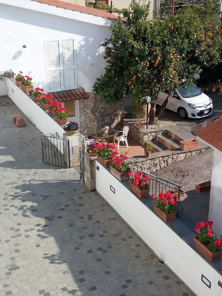 Bed and Breakfast La Casa Del Sole Vico Equense Exterior foto